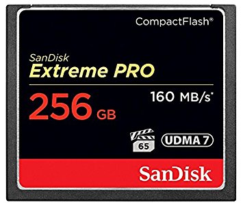 Sandisk Compact Flash 256Gb Extreme Pro 160Mb/s