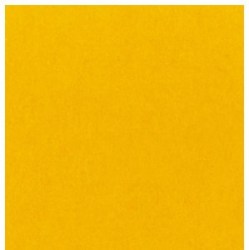 p-yellow-zheltyj-bdsv-2.75-71