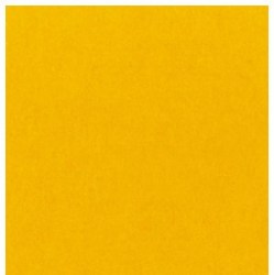 p-yellow-zheltyj-bdsv-2.75-71
